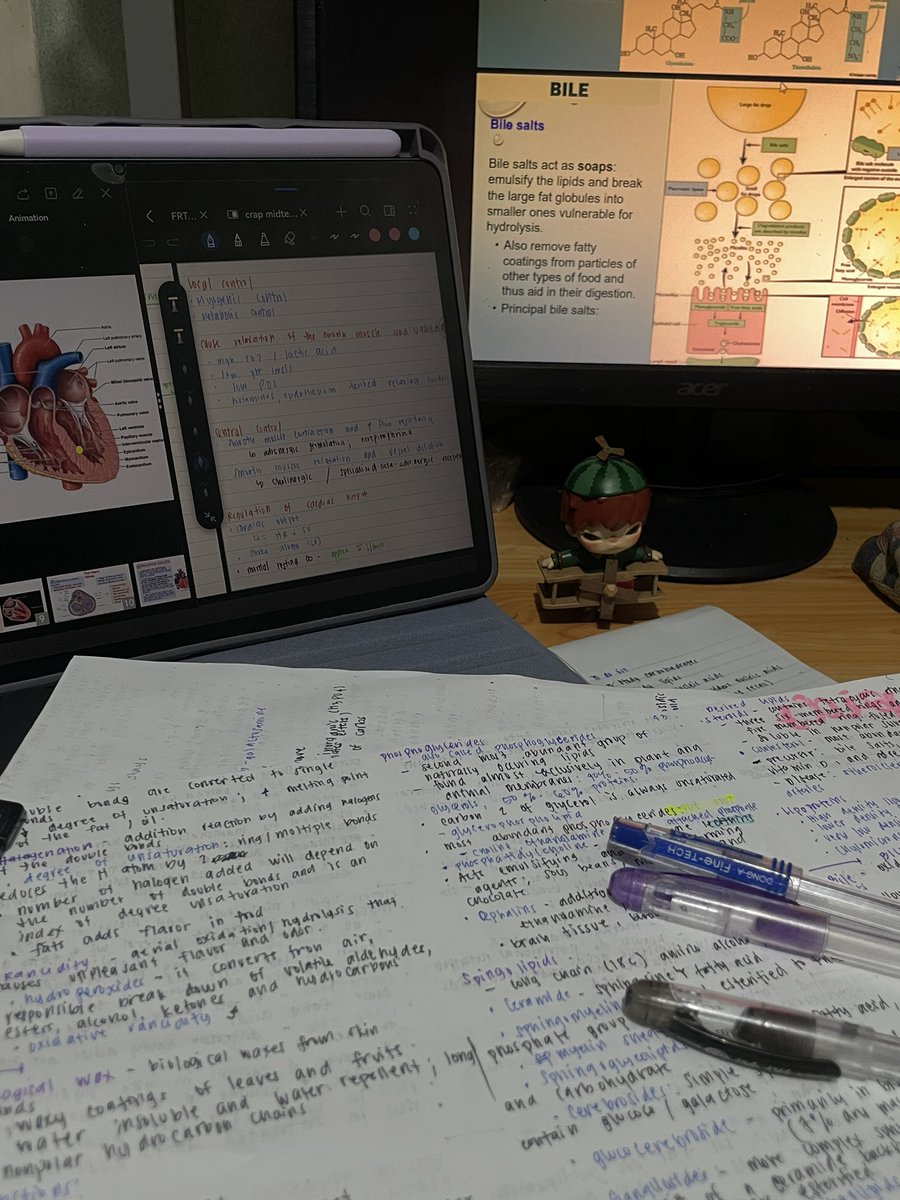 segryl ✰ tweet media