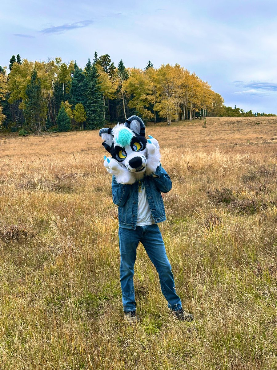 It’s finally fall :D 🍁