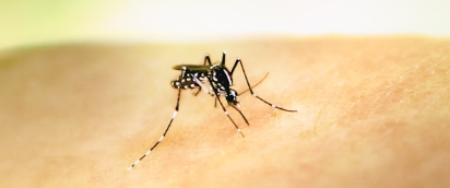 #Brazil: #SantaCatarina records 230% increase in #dengue cases in September open.substack.com/pub/outbreakne…