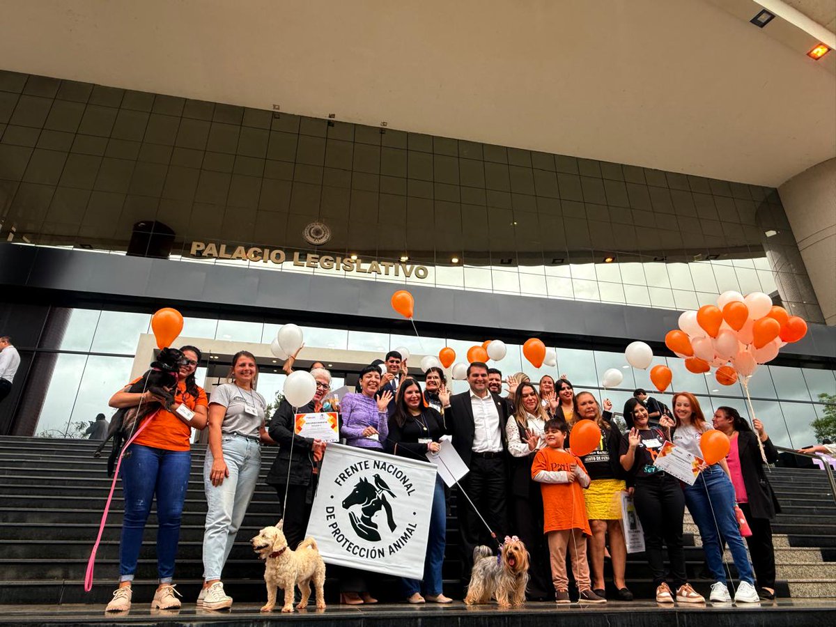 DiputadosPy's tweet image. En el marco de la conmemoración del Día Mundial de los Animales, el despacho del Diputado Federico Franco (PLRA – Central), con el apoyo fundamental de la Comisión de Protección y Bienestar Animal, organizó un acto de reconocimiento y homenaje.

El evento, llevado a cabo con el…