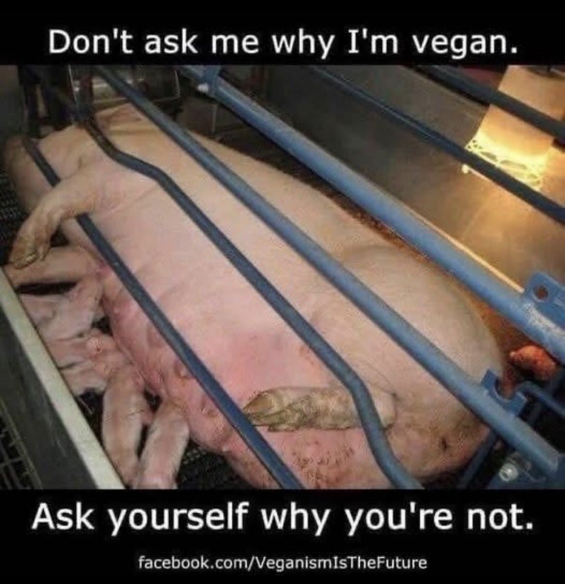 NothingIsArt (@nothingisart) on Twitter photo 