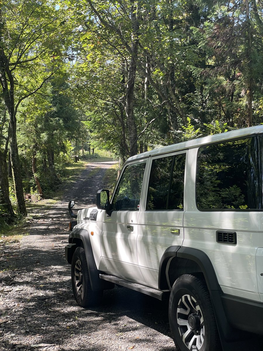 キャンプがしたいだけなのに