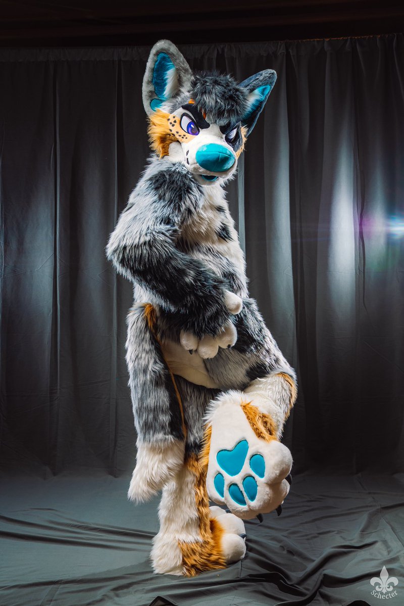 Avery of Dogtropolis (@foxeuphoria) on Twitter photo Giving out beans this #MixedCandyMonday!
🧵: <a href="/mixedcandy/">Mixedcandy Inc</a>
📸: <a href="/SchecterWolfe/">🇯🇵yapanese yotie tour🇯🇵</a> Giving out beans this #MixedCandyMonday!
🧵: <a href="/mixedcandy/">Mixedcandy Inc</a>
📸: <a href="/SchecterWolfe/">🇯🇵yapanese yotie tour🇯🇵</a>