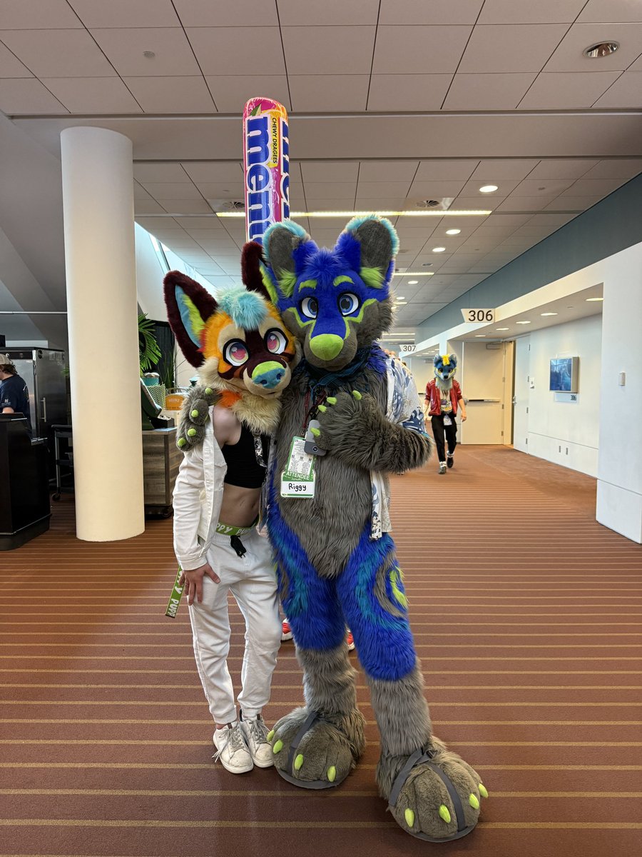 <a href="/Malu_Mutt/">Malu! 🌴</a> is one stylish pup! May be a little contagious, cause they be making me feel it a bit too when they are present ;3

📸 <a href="/JamsTheCat/">Jams 🔜 Furpocalypse</a>