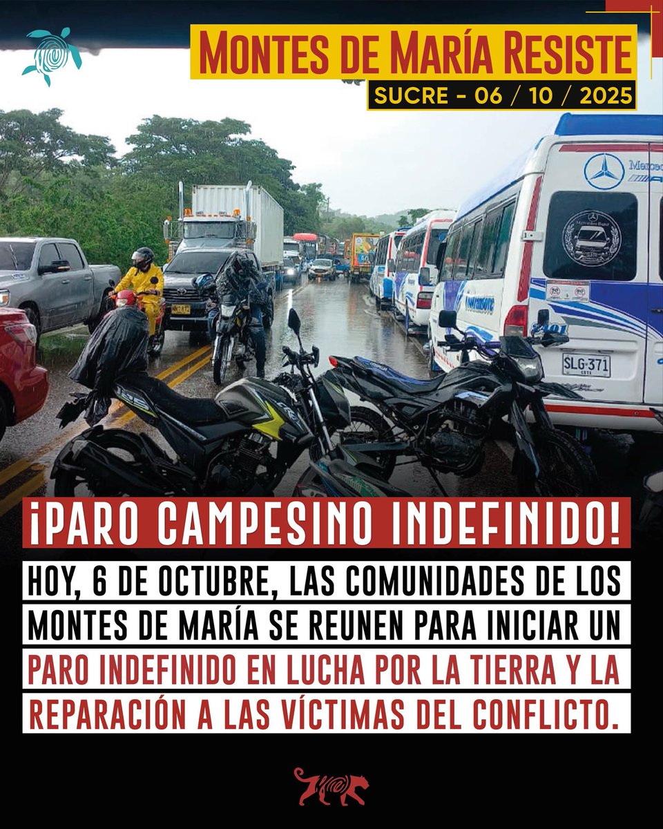 Human Conet tweet media