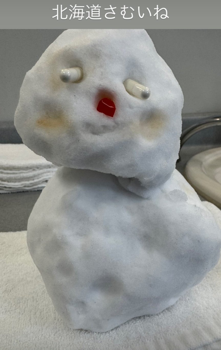 雪だるま⛄❄ 🕊️むーたん🕊️Mu-tan🕊️ on X: 