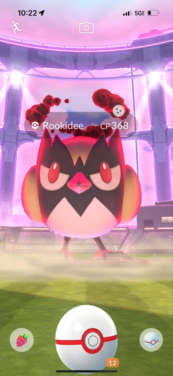 mamayodaone's tweet photo. Week started with sparkle power! ✨ Shiny Dynamax Rookidee joined the party 🥳💛
#TeamInstinct #ShinyCatch #PokemonGO https://t.co/fllL7Na92N