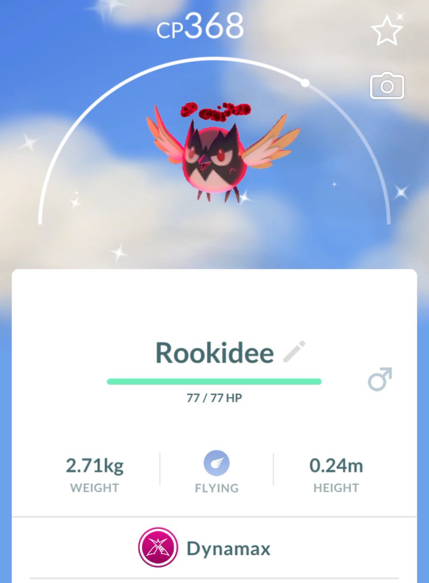 mamayodaone's tweet photo. Week started with sparkle power! ✨ Shiny Dynamax Rookidee joined the party 🥳💛
#TeamInstinct #ShinyCatch #PokemonGO https://t.co/fllL7Na92N