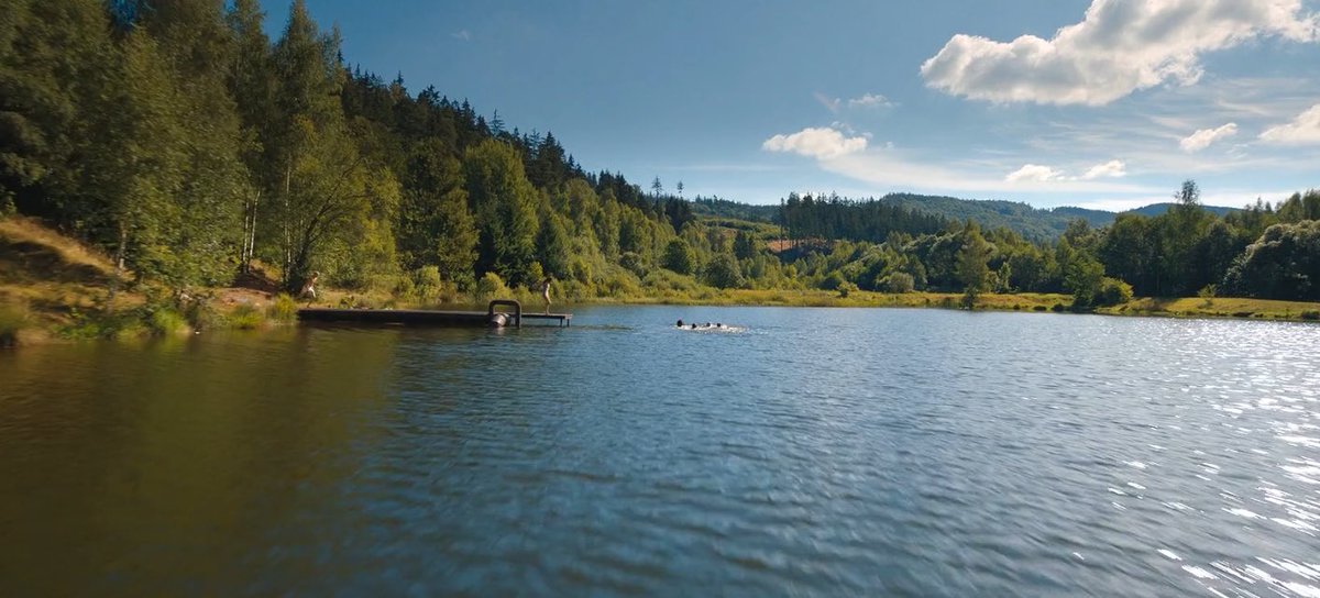 best of district 12 (@d12inabearshirt) on Twitter photo 