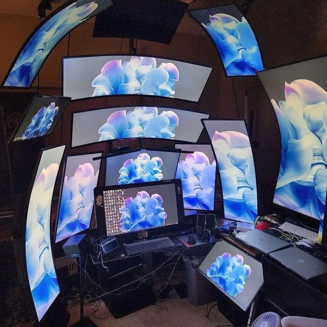 Rexha 🐸 tweet media