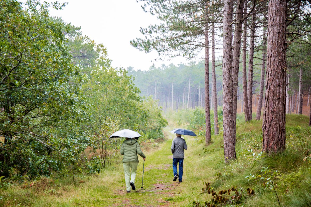 🍂 Ook op regenachtige dagen is Terschelling op z’n mooist. De geur van natte bladeren, paddenstoelen in alle kleuren en dat frisse eilandgevoel 🌧️ Trek je (regen)jas aan, ga op pad en ontdek hoe de natuur het eiland in de herfst laat stralen.