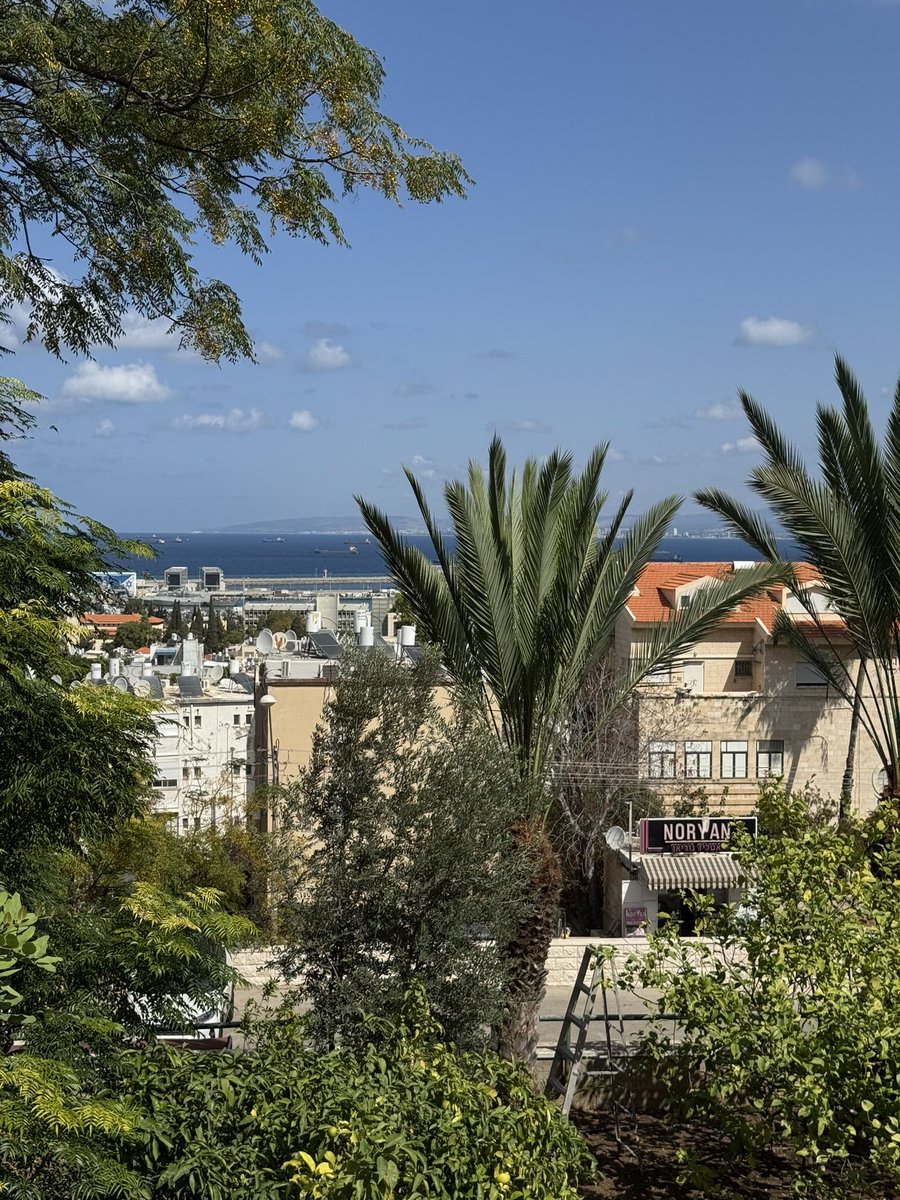 MathieuDeflem's tweet photo. I enjoyed my day visiting Haifa for the first time. Much culture and beauty to behold. https://t.co/NEFrWE3fTg