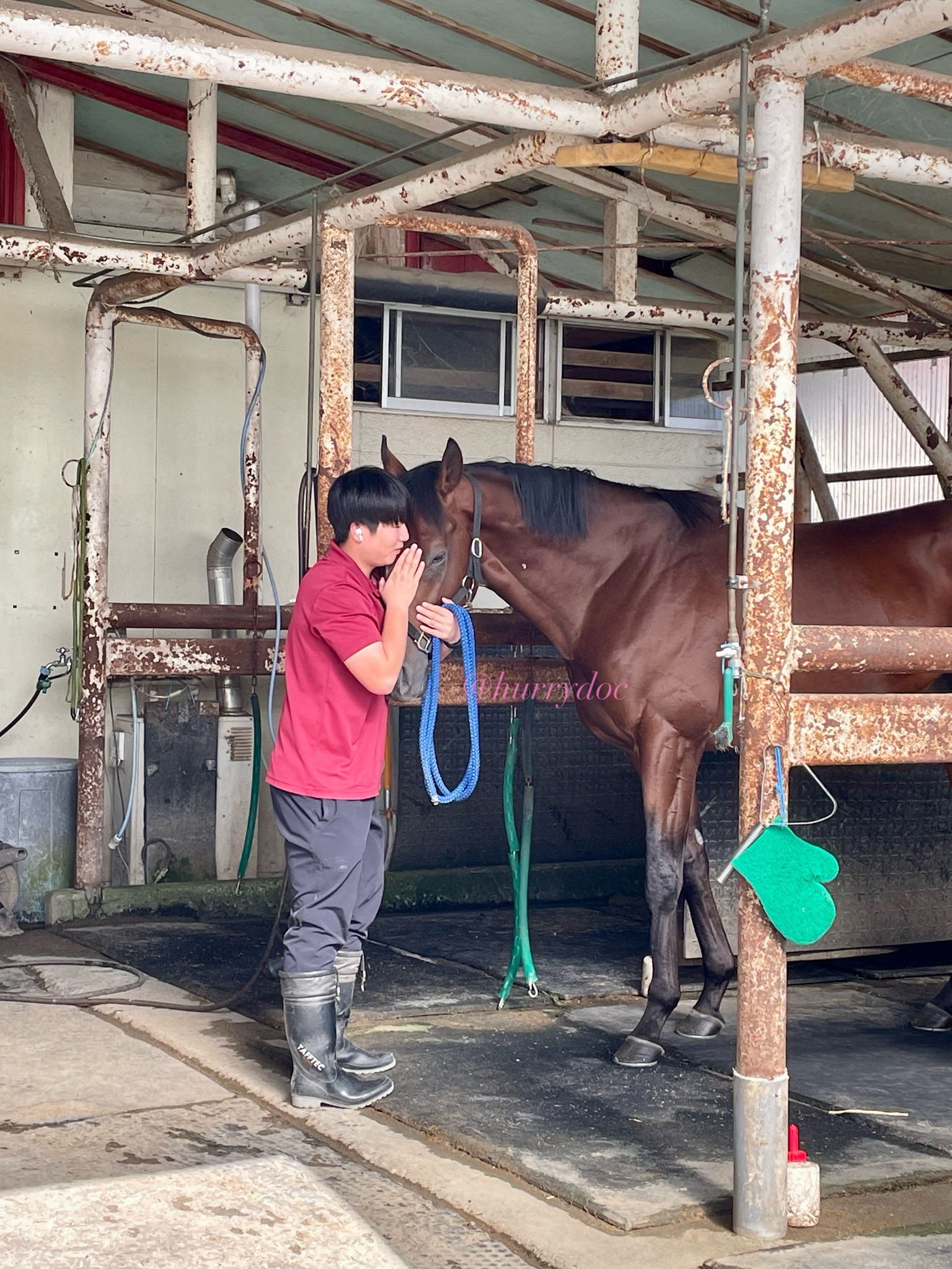 来年は午年❣️ヴィンテージ‼️オールドノリタケ❗️草原の草叢に馬のファミリー❣️親子3体 まる on X