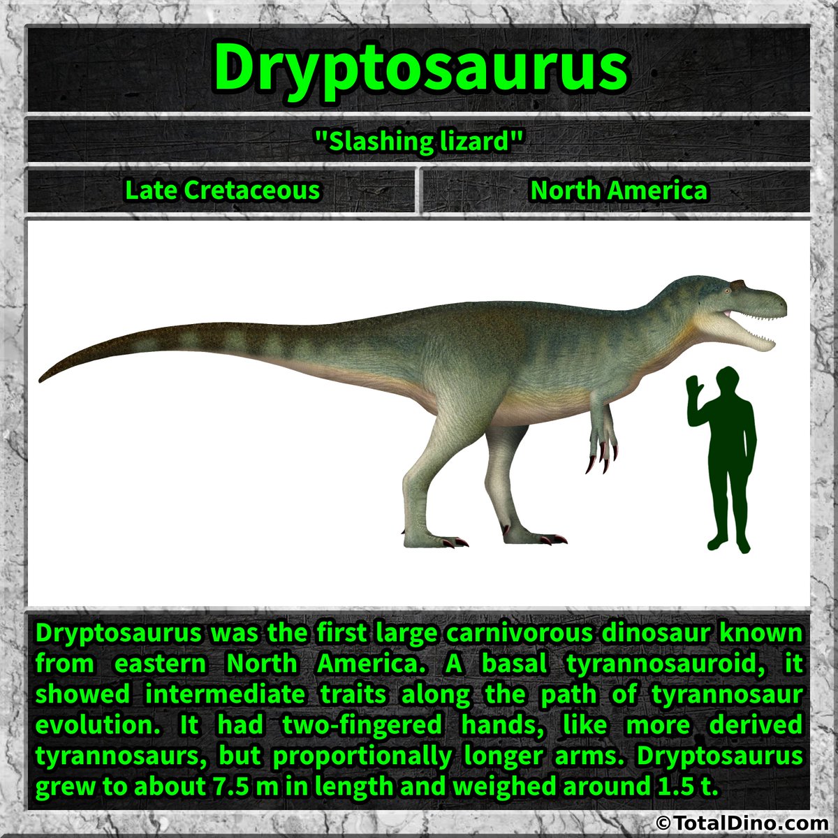 Total_Dino's tweet photo. #dryptosaurus #dino #dinosaur #dinosaurs #cretaceous https://t.co/Zw1h9DPgKx