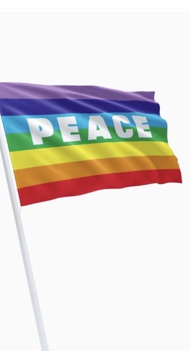 De enige vlag die staat voor #vrede is de vredesvlag. Laten we die gebruiken bij demonstraties tegen oorlog en geweld.