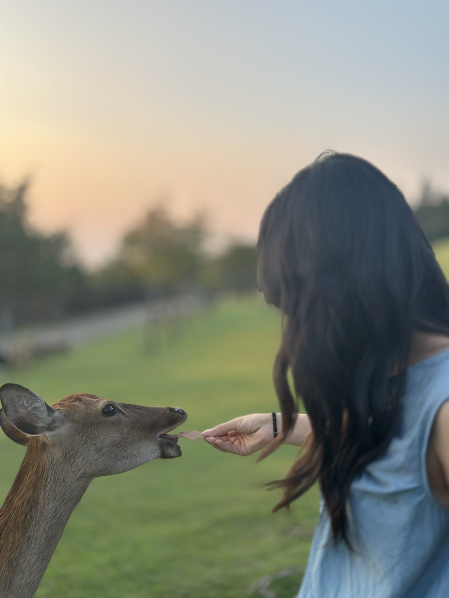 星光味汽水 tweet media