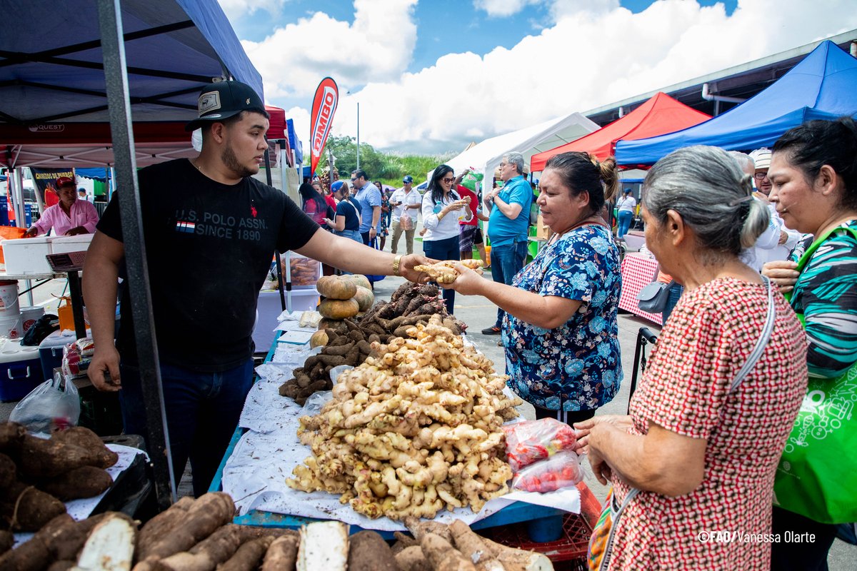 FAOMesoamerica's tweet photo. 🎉Con la participación de autoridades nacionales, representantes de organismos internacionales, productores, comerciantes y sociedad civil, 🇵🇦Panamá conmemoró el #DíaMundialdelaAlimentación, en una alianza entre @FAO y @cadenadefriopa, con una 🪅🎊MERCA FERIA (edición especial). https://t.co/nHRxRmnaOx