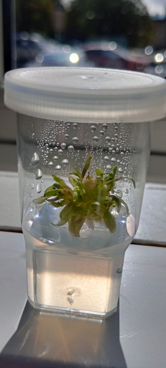 National Centre for Biotechnology Education tweet media