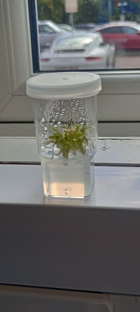 National Centre for Biotechnology Education tweet media