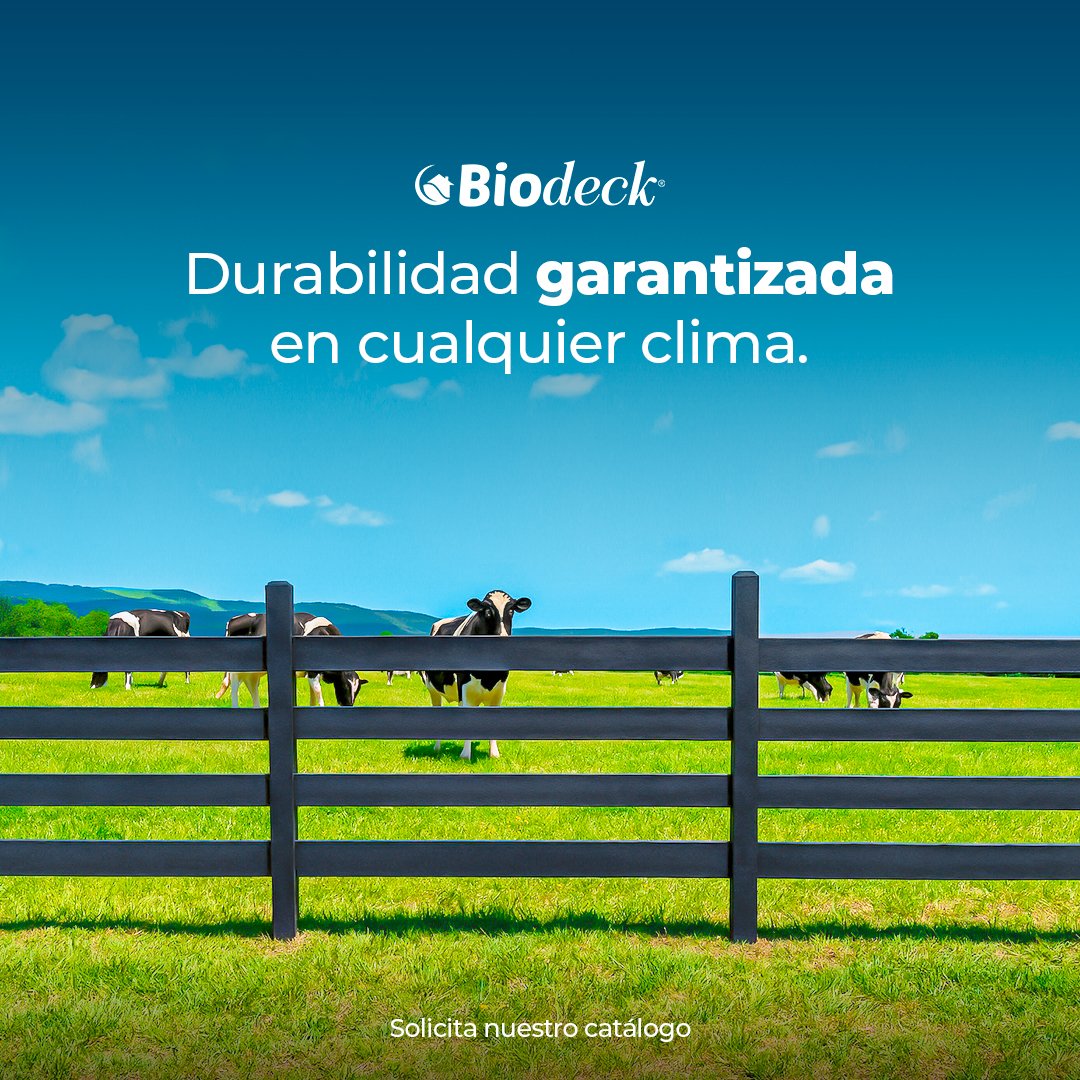 Poliplasts tweet media