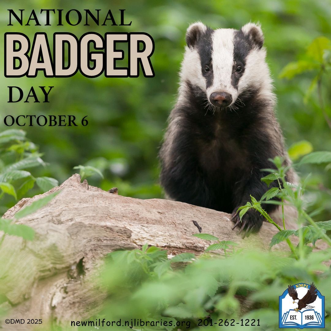 libraryNMPL's tweet photo. 🦡Today is National Badger Day!
National Badger Day is celebrated on October 6th annually and originated in the United Kingdom to celebrate and conserve badgers, an important native species.
#NationalBadgerDay #badger #badgers #bcclslibraries #bccls #newmilfordpubliclibrary https://t.co/E5dgXc3lAp