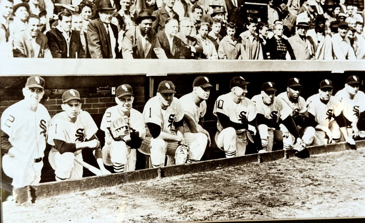 David Alexander Willis tweet media