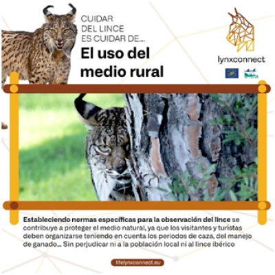 Life Lynxconnect tweet media