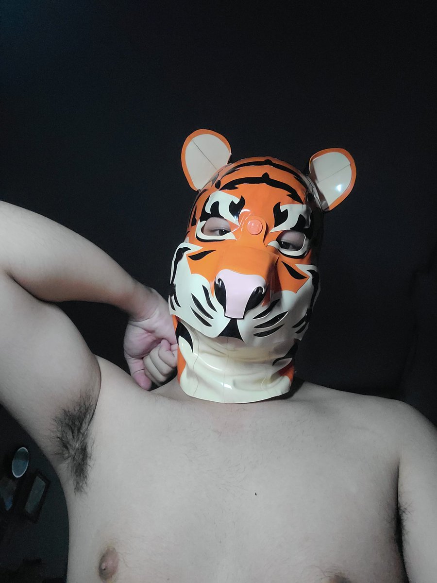 Nay bé cún biến thành hổ gòi :))))