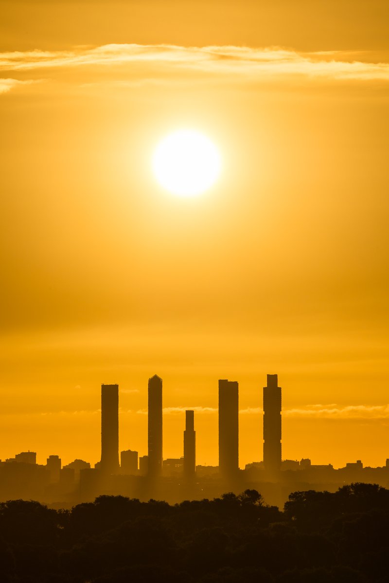 Jose Luis (@jslsvega) on Twitter photo Queriendo hacer el amanecer con el sol cerca de las torres no caí que era luna llena, así que dejo el amanecer que ese si lo "pille" desde Las Rozas (14,4 Km en línea recta  a las torres). 
#amanecer #sol #cuatrotorres #contraluz #skyline <a href="/PlanetarioMad/">Planetario de Madrid</a> Queriendo hacer el amanecer con el sol cerca de las torres no caí que era luna llena, así que dejo el amanecer que ese si lo "pille" desde Las Rozas (14,4 Km en línea recta  a las torres). 
#amanecer #sol #cuatrotorres #contraluz #skyline <a href="/PlanetarioMad/">Planetario de Madrid</a>