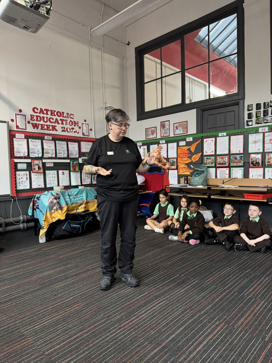 St_Denis_PS's tweet photo. Primary 4 were fascinated by their #ZooLab workshop today called Life Cycles! The children heard about the life cycle of many different creatures & even got to hold some! Well done everybody! ๐@ZooLabUK https://t.co/CfEQJNmvHM