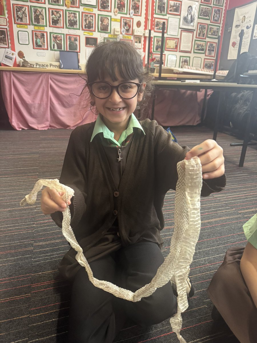 St_Denis_PS's tweet photo. Primary 4 were fascinated by their #ZooLab workshop today called Life Cycles! The children heard about the life cycle of many different creatures & even got to hold some! Well done everybody! ๐@ZooLabUK https://t.co/CfEQJNmvHM