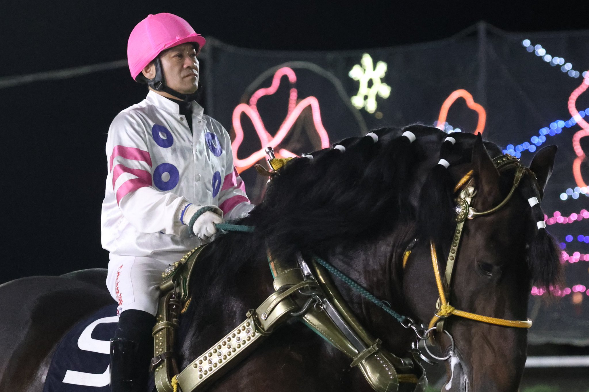 競馬 歴代ばんえい最強馬投票優勝馬 鈴木恵介騎手直筆サイン木箱 証明書入り蹄鉄 競馬 歴代ばんえい最強馬投票優勝馬 鈴木恵介騎手直筆サイン木箱