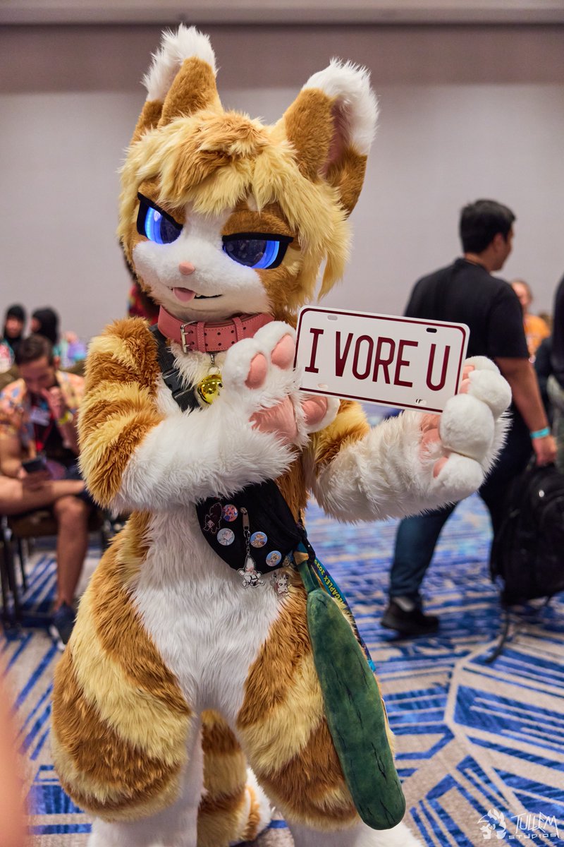 Cat cannot read

📸:<a href="/tullembrat/">Tullem🔜 FP</a>