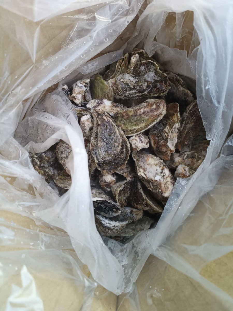 台湾の中秋節へのこだわり
記憶がある限り、台湾の人々は中秋節に必ず家で焼肉をします。今年は海外にいる家族も帰ってきて、一緒に団欒できて嬉しいです
#中秋節おめでとう #中秋を過ごす