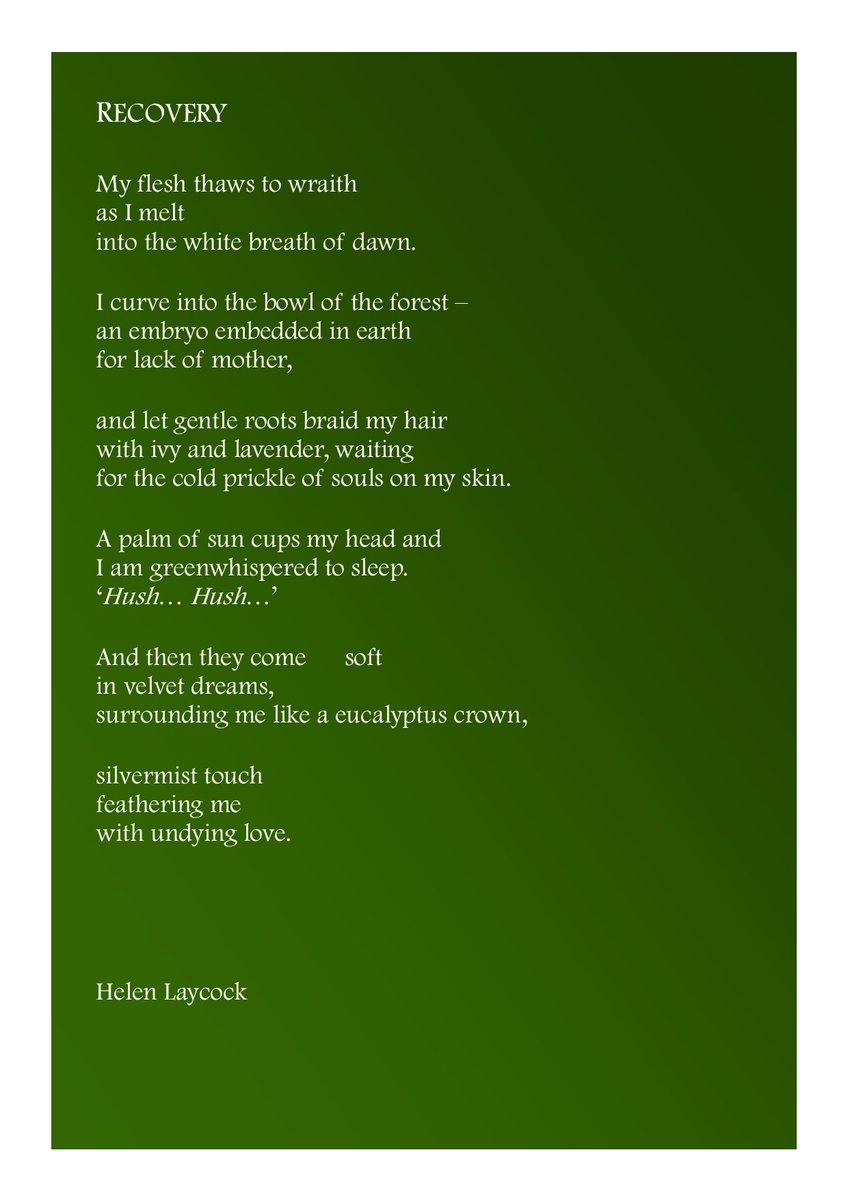 Delighted to write a #mystical poem for <a href="/TopTweetTuesday/">TopTweetTuesday</a>, hosted by the fabulous <a href="/SaraswatiNagpal/">Saraswati Nagpal</a> in celebration of her beautiful collection 'Drench Me in Silver'. ✨✨✨

This is 'RECOVERY'. 💚

#poetry #poetrycommunity #poetrylovers #forest #grief