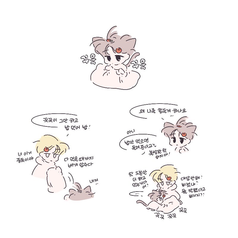 문대청려 문엋
알 수 없는 고양이 마음