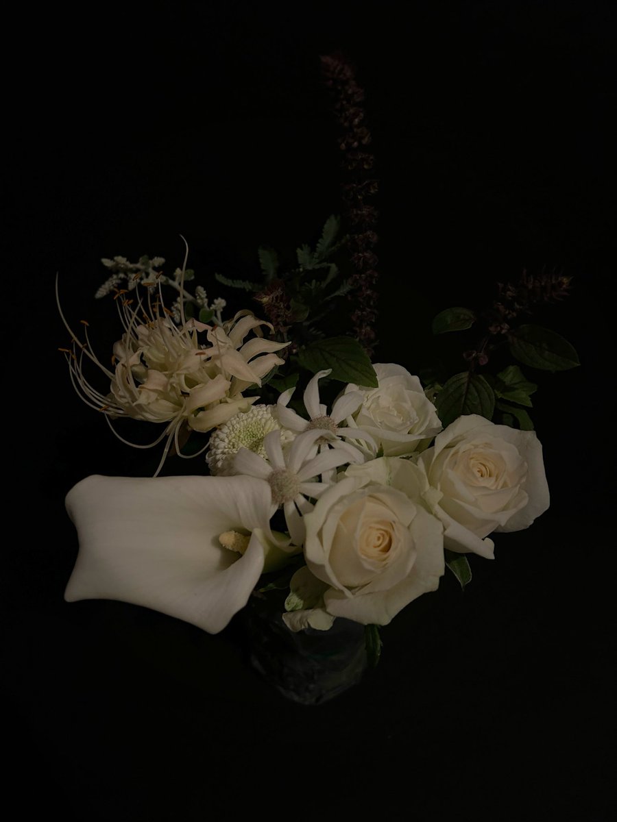 ⭐ダンデビまとめ ダンデビ