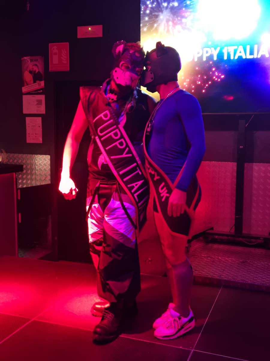 Welp......what an awesome time in Milan 🥹 I fucking love my italian puppy friends x I can't wait to come back next year 🥹🥹 🧡🩷❤️