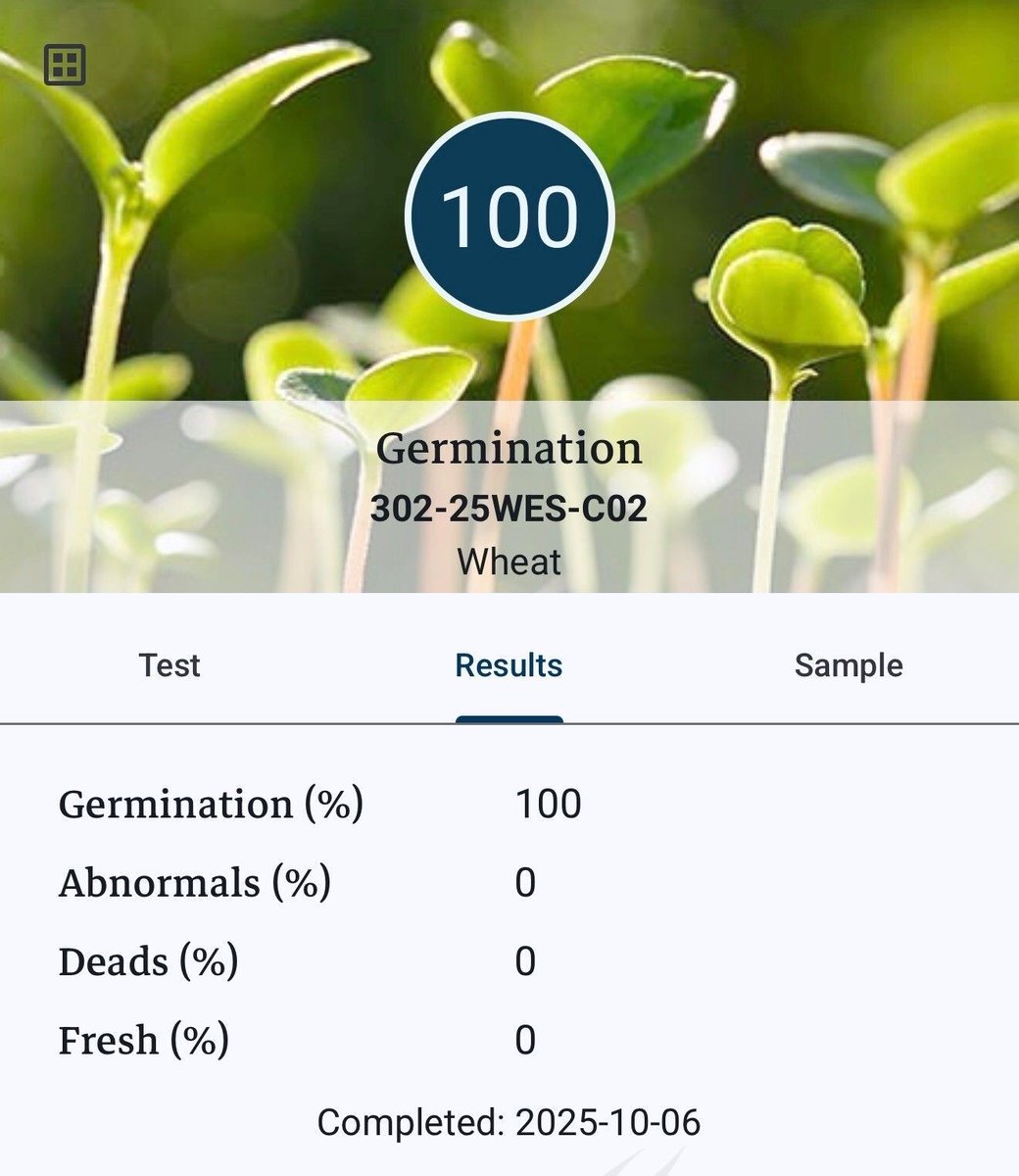 Pituraseeds's tweet photo. Great to see our first 100% germ result for @SeCan AAC Westking wheat from @2020SeedLabs!
#quality #wheat #germination #seedlab #strongstart #newvariety https://t.co/Csb22GNjyI