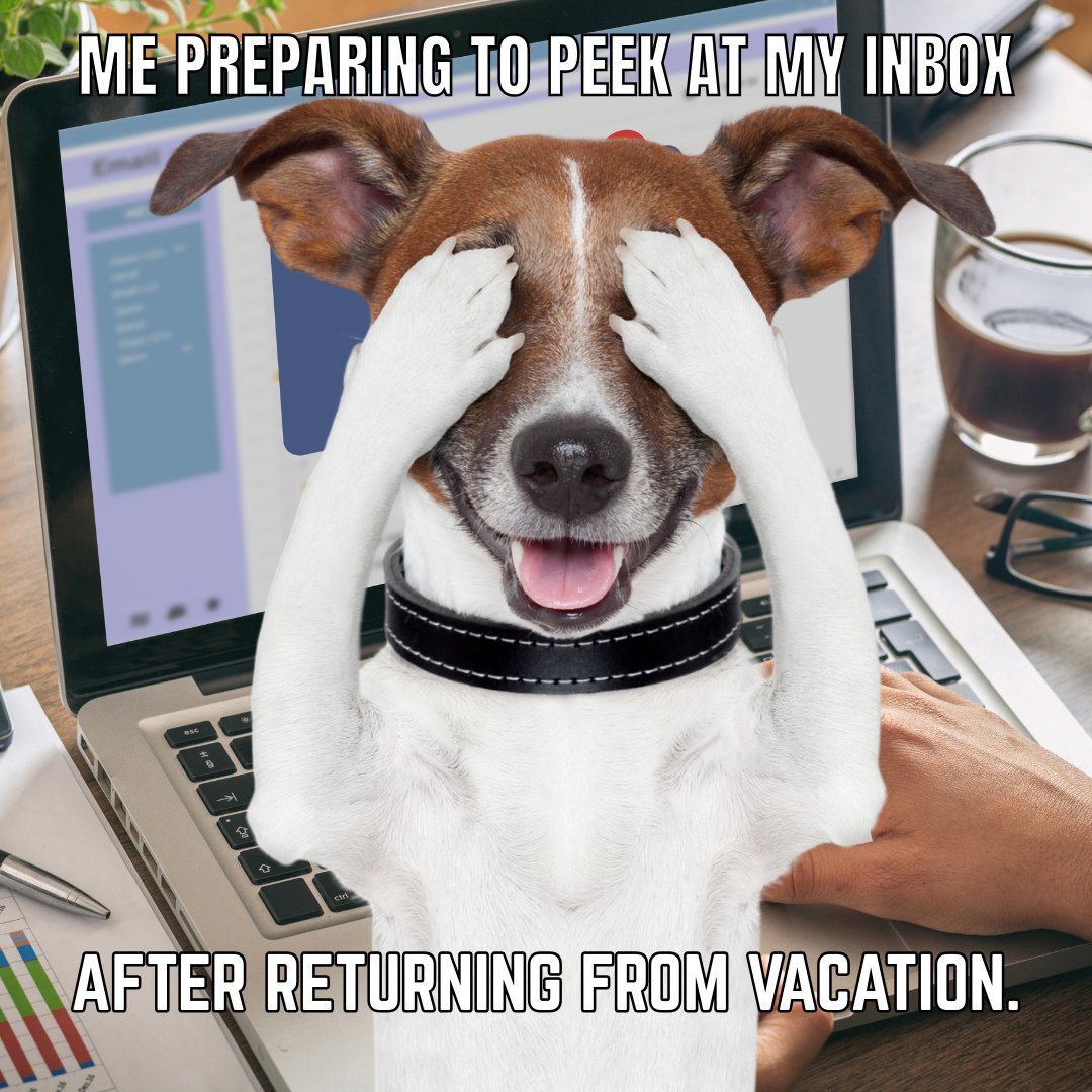 LSCots's tweet image. OTiS is fetching emails today for Zero Inbox Day 🐾

Delete it. Delegate it. Do it.

How many “unread treats” are in your inbox right now? 👀 #InboxZero