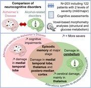 braincomms's tweet image. Soussi et al. compared profiles of patients with neurocognitive disorders due to alcohol or Alzheimer’s disease. Cerebellar damage appears specific to alcohol-related disorders. This underscores how one aetiology may mask the other. Full article 👉 buff.ly/di7KIkB