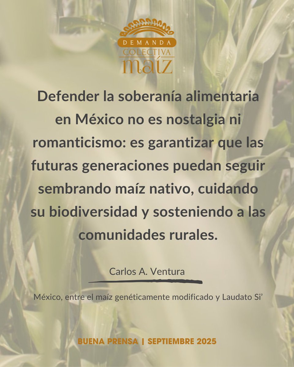 «En México, el debate sobre la soberanía alimentaria tiene un nombre propio: maíz.»

Por <a href="/carlosarveca/">Carlos Ventura</a> 
blogbuenaprensa.com/mexico-entre-e…