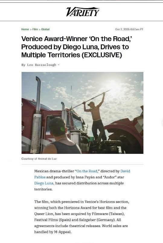 Queer Lion tweet media