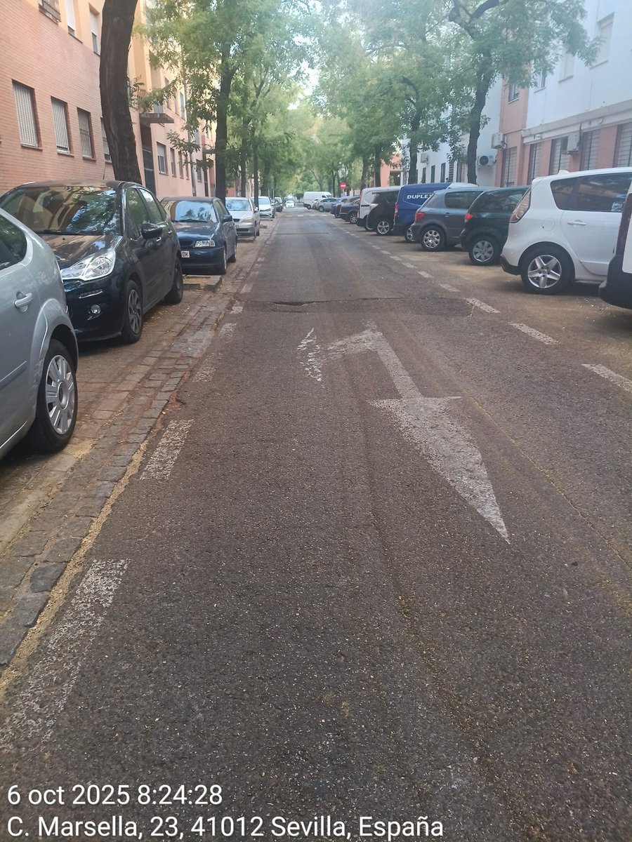 🧼💪 ¡Así se construye el día a día! Actuaciones de limpieza de <a href="/LipasamSevilla/">Lipasam</a> en marcha para que el Distrito luzca como merece. Cada esfuerzo cuenta, cada gesto suma. ¿Nos ayudas a mantenerlo?🌞🏡

#CuidemosSevilla
#SevillaEstáEnMarcha