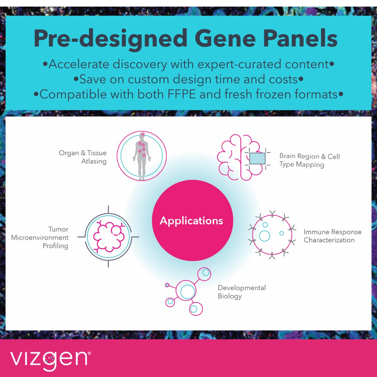 vizgen_inc's tweet image. Vizgen’s new expert-curated Pre-designed Gene Panels make it easier to move directly from experiment to insight and are available across oncology, neuroscience, immunology and more.
See the growing list of panels: hubs.ly/Q03LPyF_0
#SpatialGenomics