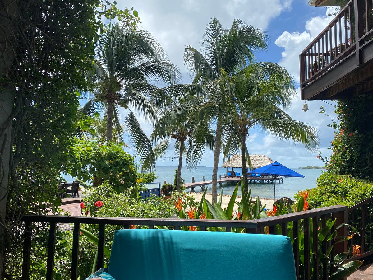 Mondays in Placencia deserve something special. At Chabil Mar, being a guest-exclusive resort means the beach, the villas, and the vibe are all about you. 🌴✨ Start your week in pure paradise. Reserve your stay today.
#GuestExclusive #PlacenciaBelize #ChabilMar