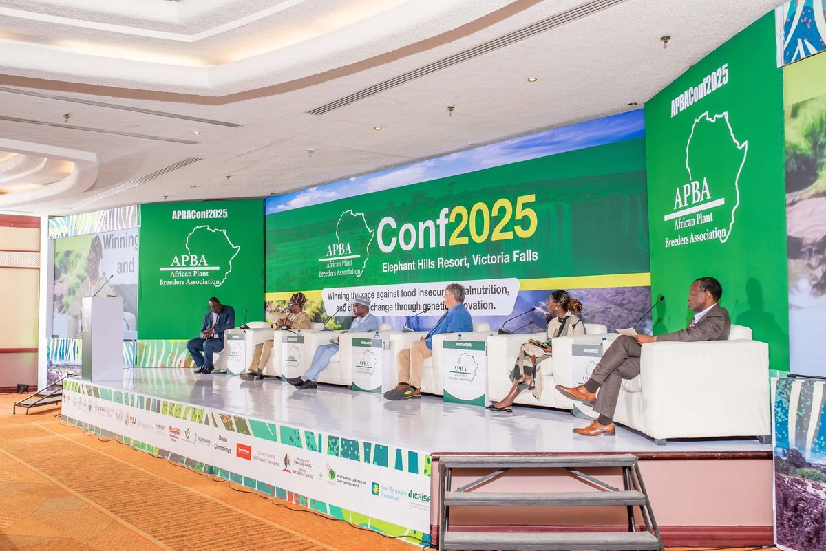 Chiedozie Egesi tweet media