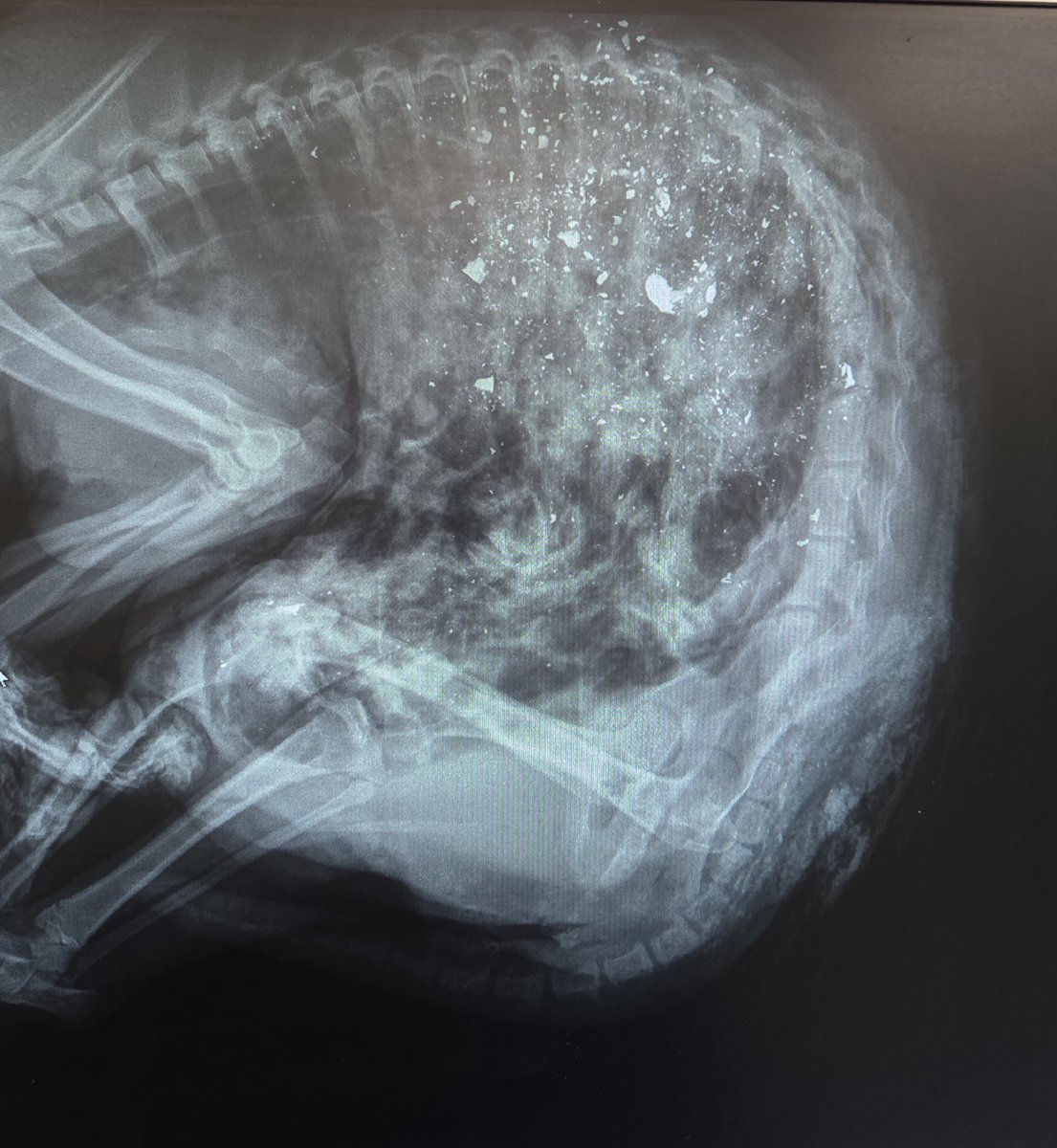 Norfolk Rural Crime - Operation Randall tweet media