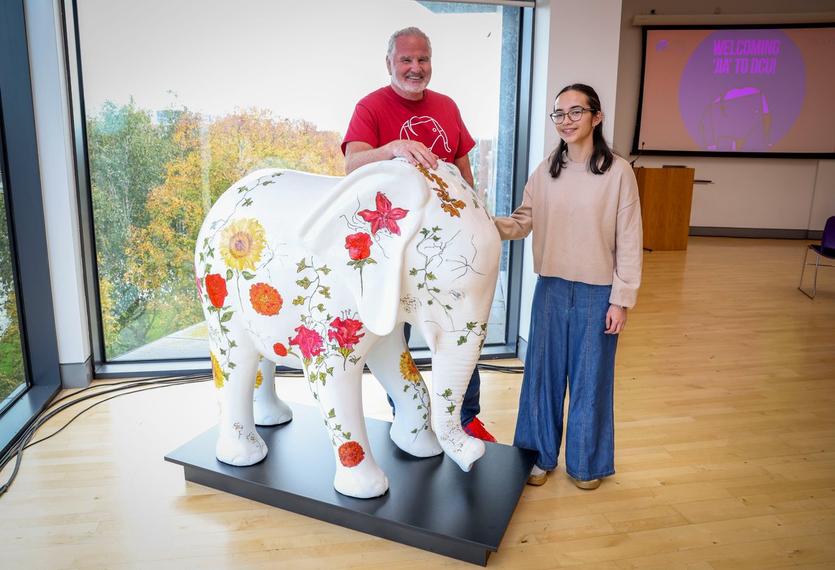 DCU's tweet image. Mental health is an essential part of our lives, yet it is often the 'elephant in the room' - a topic that goes unspoken. By bringing it into the open, DCU's Elephant in the Room Jia, encourages dialogue, awareness, and positive change. Learn more here: dcu.ie/people/elephan…