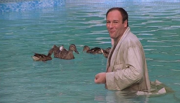 herkel.eth(evm/acc) (@herkeleth) on Twitter photo 